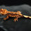 Thumbnail: High Contrast Pinstripe Crested Gecko