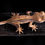 Thumbnail: Lavender Pinstripe Crested Gecko