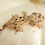Thumbnail: Pale Base Ink Spot Dalmatian Crested Gecko
