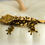 Thumbnail: High Contrast Pinstripe Crested Gecko