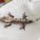Thumbnail: Axanthic Crested Gecko