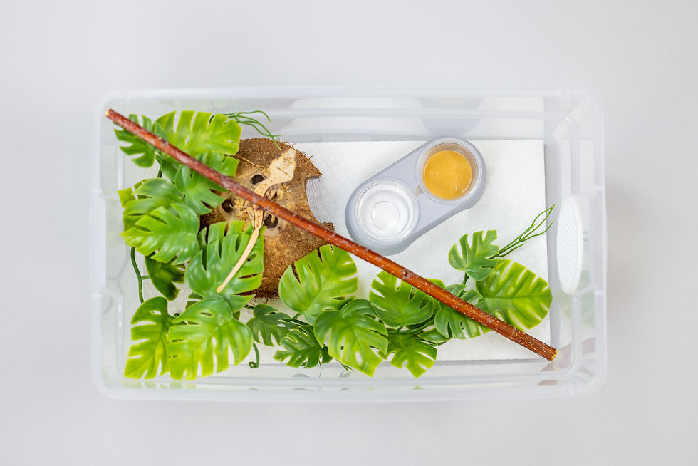 Thumbnail: 0.5-Ounce Dual Cup Holder