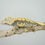 Thumbnail: Lavender Pinstripe Crested Gecko
