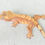 Thumbnail: Red Extreme Harlequin Crested Gecko