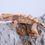 Thumbnail: Red Harlequin Crested Gecko