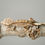 Thumbnail: Bold Stripe Tiger Crested Gecko
