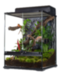 Crested Gecko Housing