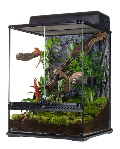 Crested Gecko Housing