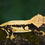 Thumbnail: ULTRA HIGH-END RELEASE: RTB Crowned/Drippy Charcoal Base Pinstripe Crested Gecko