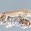 Thumbnail: Mardi Gras Super Dalmatian Crested Gecko