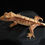 Thumbnail: Red Pinstripe Crested Gecko