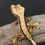 Thumbnail: White Wall Pinstripe Crested Gecko
