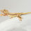 Thumbnail: Lilly White Crested Gecko