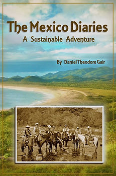 Kindle%20Cover%20Newest_edited.jpg