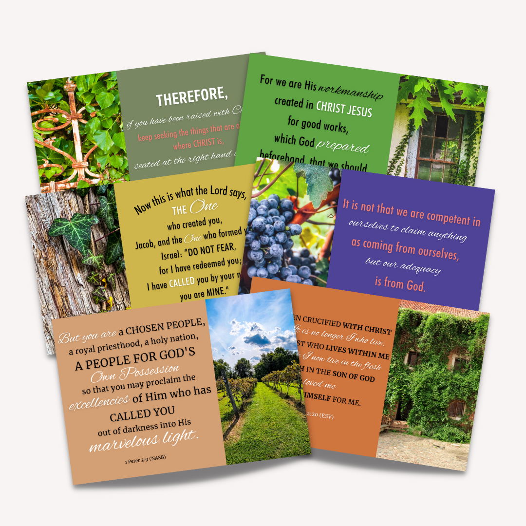 In Christ: Scripture Memory Cards