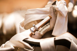 Fania & Alejandro -1