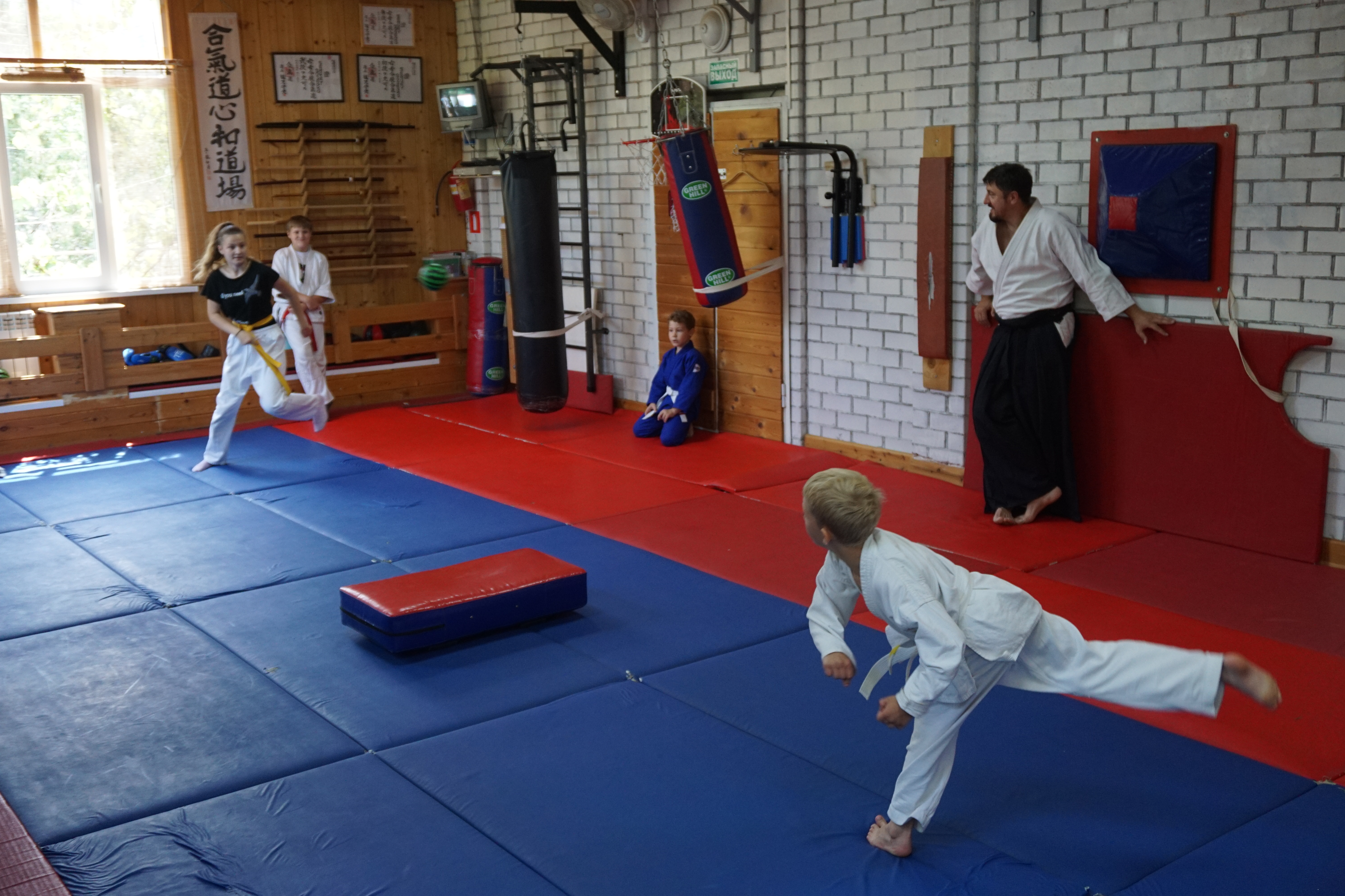 Скотт эдкинс карате. Дуо систем джиу-джитсу. Восточные единоборства. Додзе самообороны. Додзё айкидо.