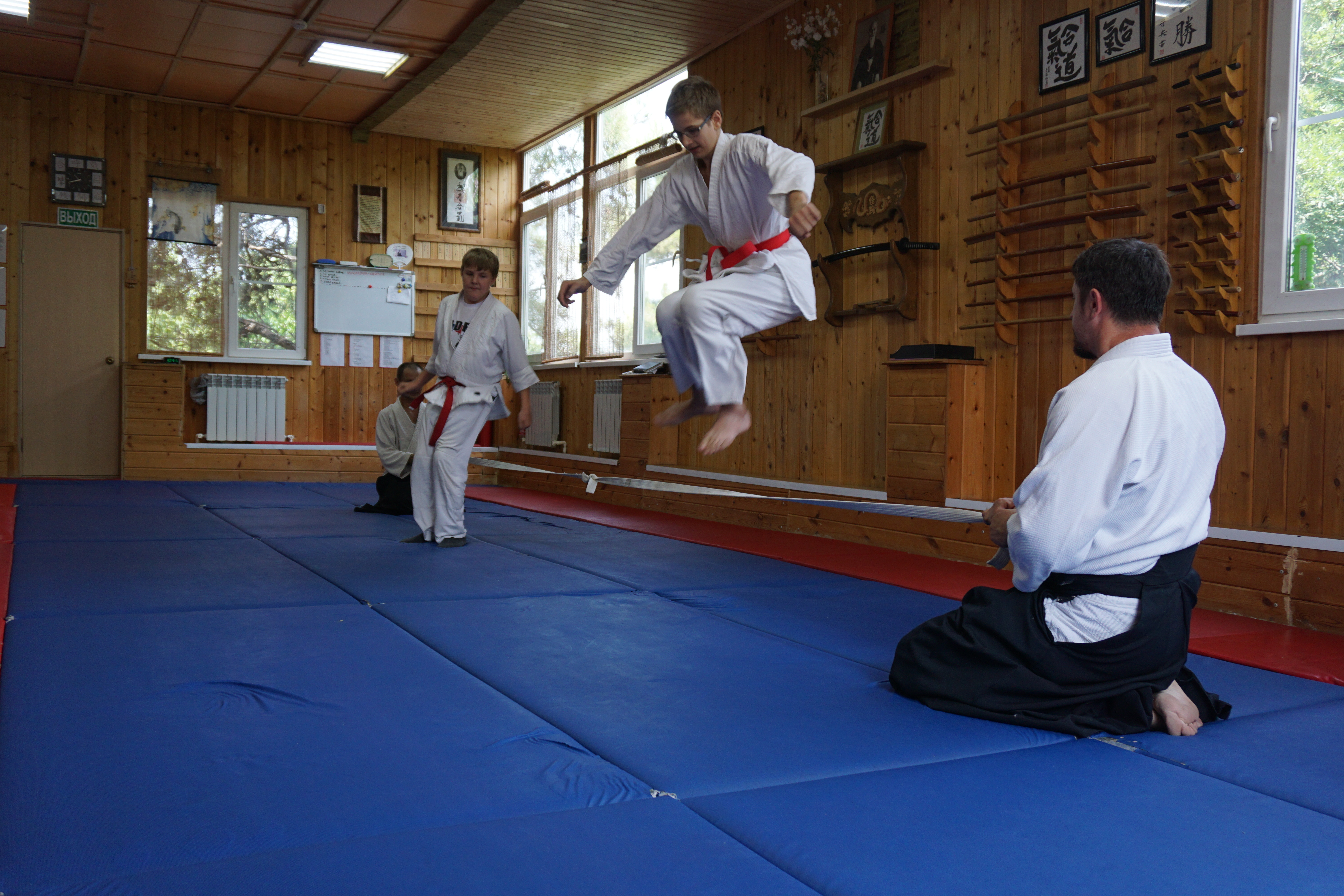Будо боевые искусства японии. Тренировка айкидо. Восточные единоборства. Подставка под додзё. Айкидо и джиу-джитсу.