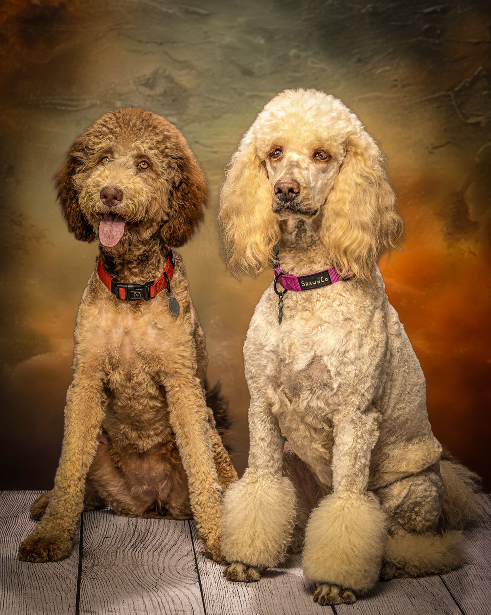 AddieGabbieOldMaster_Vertical_00120_ copy