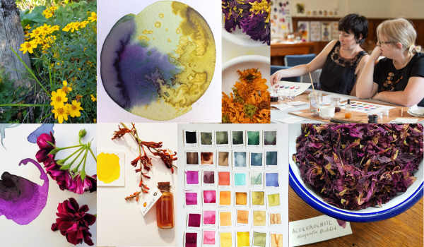 Wild Colour - Botanical Ink Making: Toi Tauranga Art Gallery