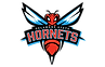 Delaware-State-Hornets-Logo.png