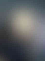 Interior Design styling of a woman's head statue on a shelf.