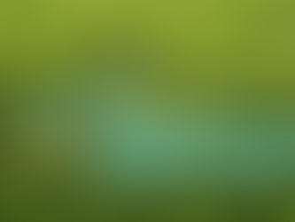 Michaël Dudok de Wit: la permanenza dello spirito