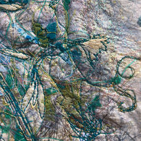 13FD64DB-44AB-4E34-88B9-D2753966D74D.jpeg