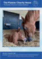 The Plaister Charity News - Issue 2 -Cover .jpeg