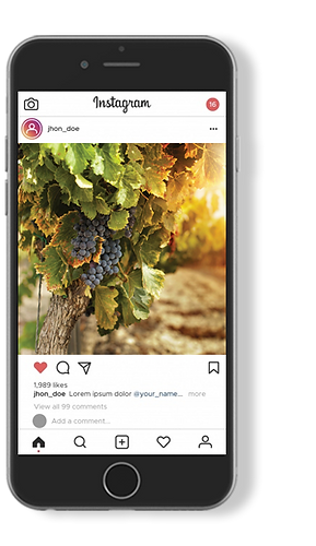 Social Media Marketing e Marketing Digital