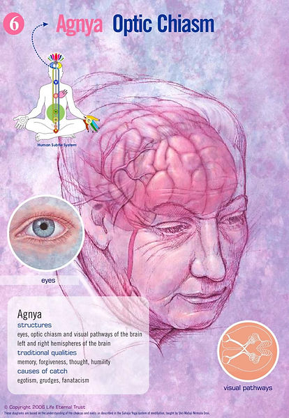 plexus6-agnya-1059x1536.jpg