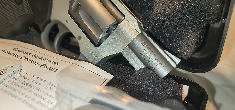 Charter arms on duty 38 special Barrel view