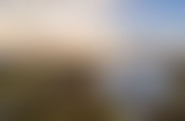 Pristine Advertising Tips