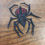 Thumbnail: Digital FSL Spider 4x4 Set of 5 files Digital File