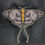 Thumbnail: Digital Death Moth 4x4 Digital File