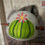 Thumbnail: Digital Cactus App Hair bun Digital File
