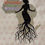 Thumbnail: Digital Remember your roots 4x4 Embroidery Design