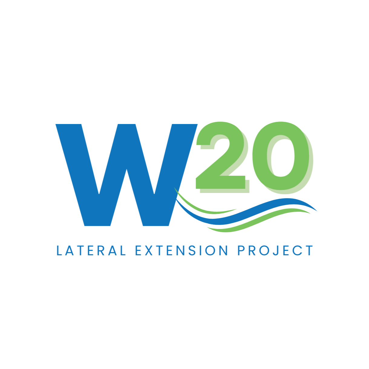 Writer: W20 Project