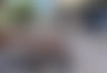 2024 Dry Falls Floodfest