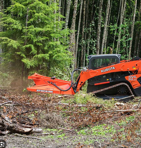 skid steer tree remomval.JPG