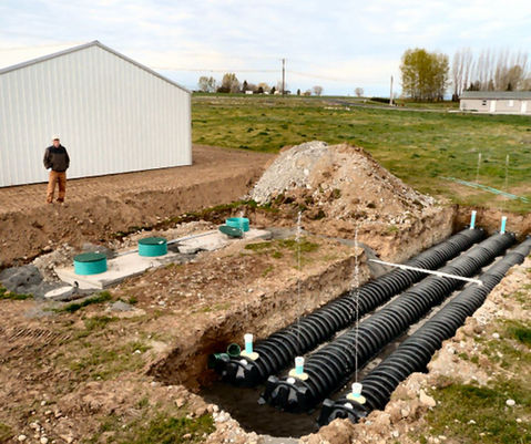 Drain field Drip Septic.JPG