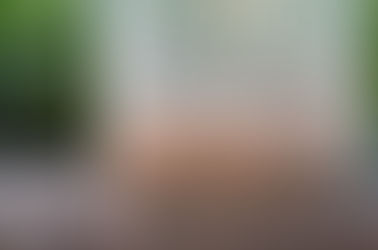 Experimenting with sourdough