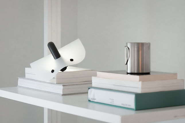 Flexy Lamp 4.jpg