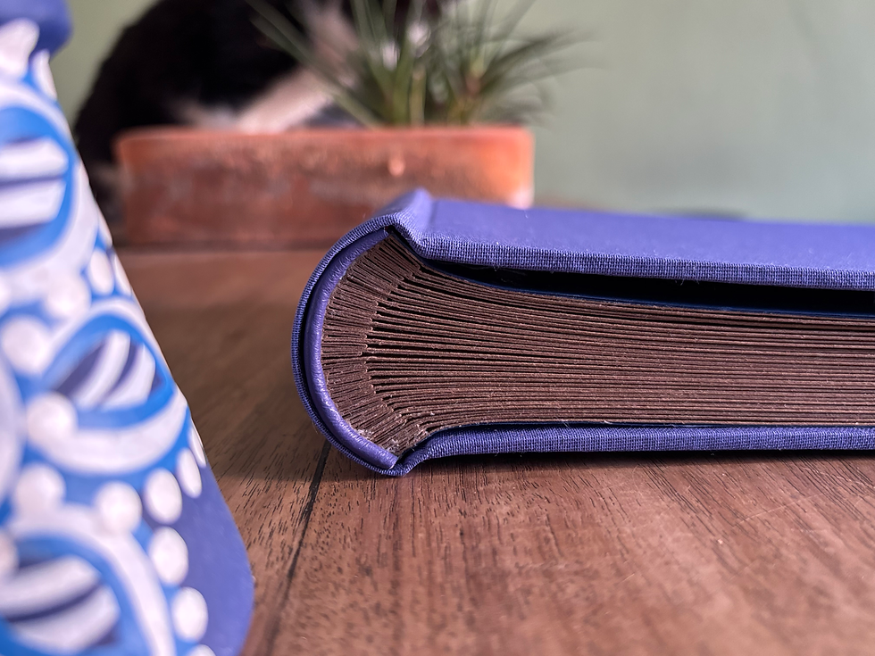 Miniatura: Lombadinha 