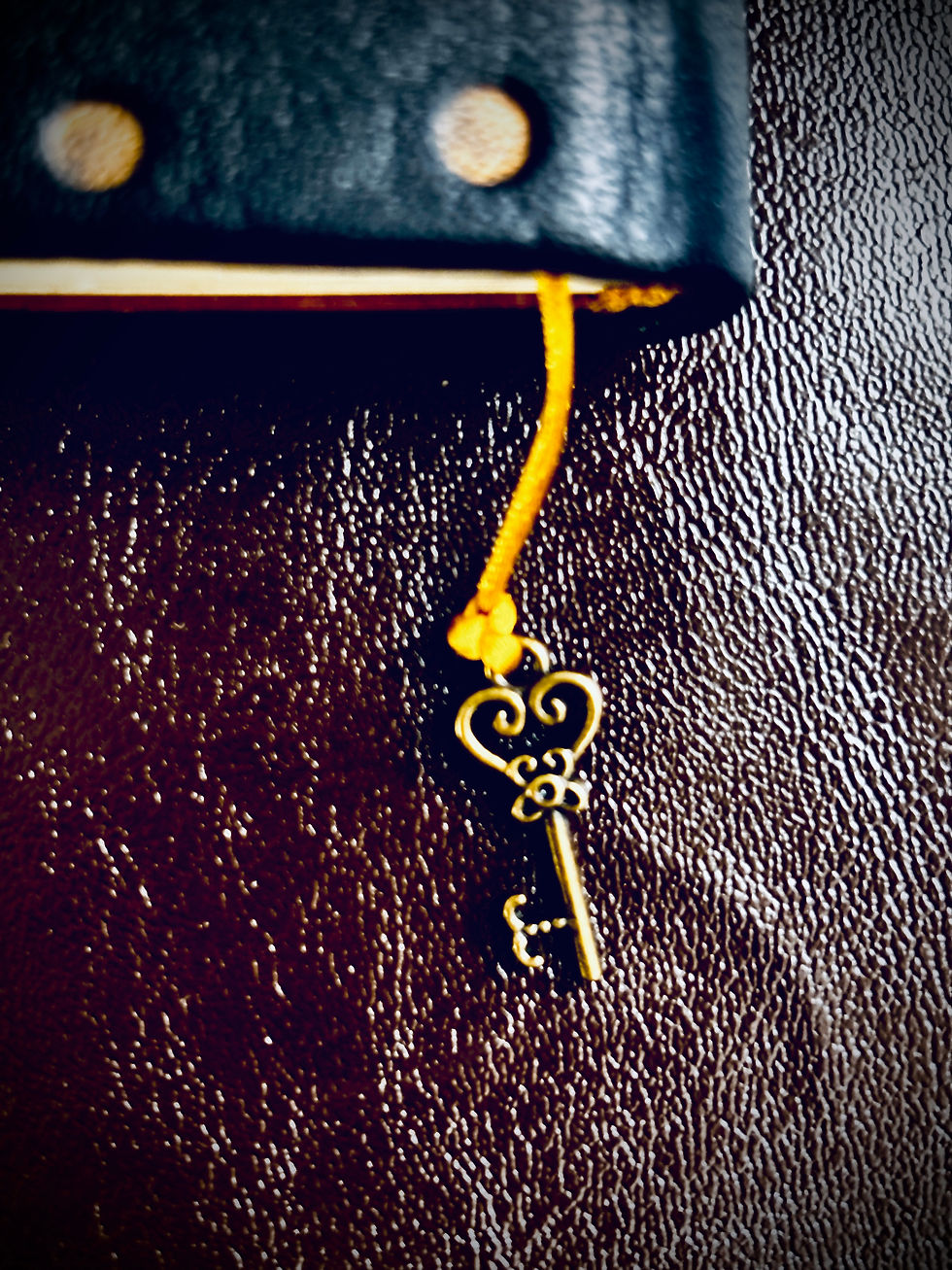 Miniatura: Mini livro em branco pendurável - Abelha 