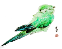 Home.png