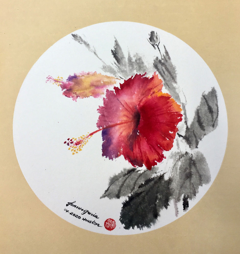 縮圖：Hibiscus Rosa-Sinensis Series
