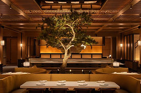 Din Tai Fung Scottsdale Camelback Luxury Auto