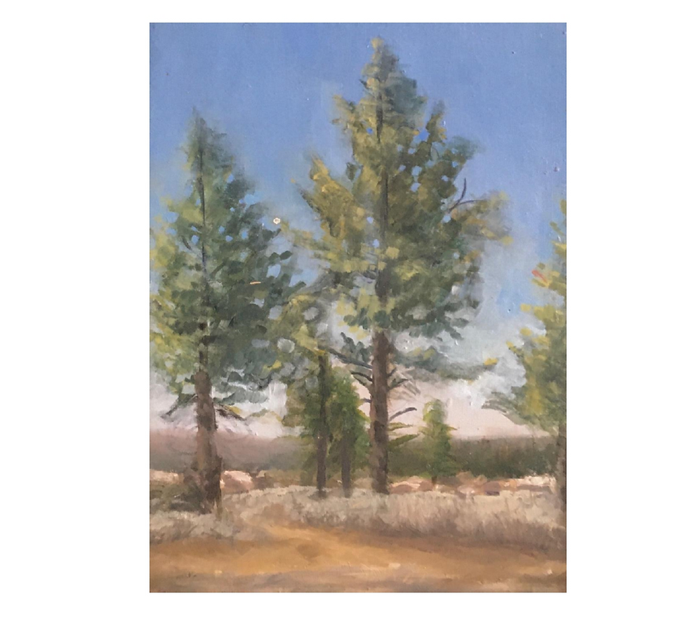 Sierra de Juárez Óleo sobre madera 15 x 20