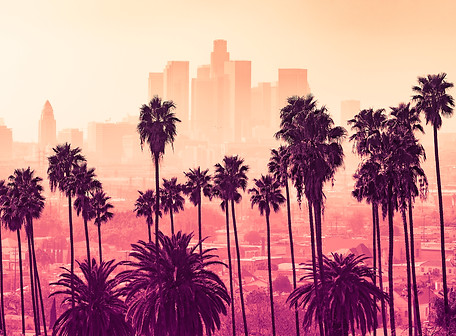 Made in LA AdobeStock_123146928.jpeg